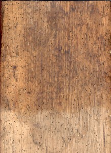 Spuren vom Holzwurm